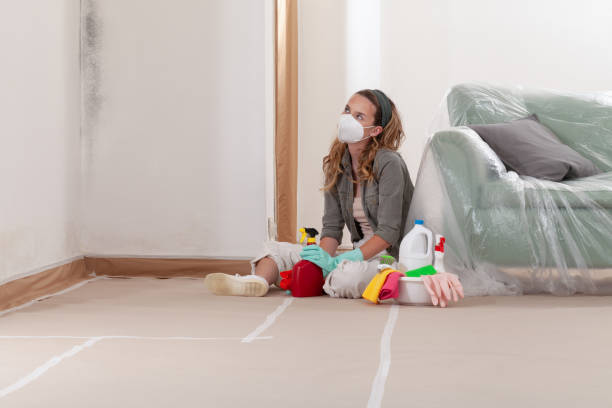 Reliable Mold Remediation contractor in Lincoln, IL by Mold Remediation HQ